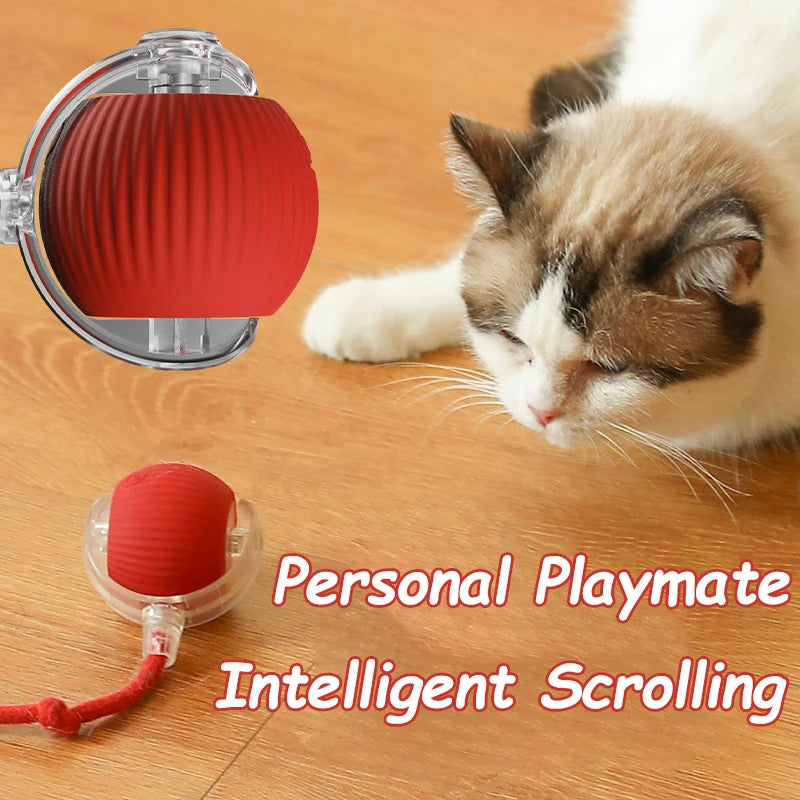 Rechargeable Smart Rolling Cat Toy – Interactive Ball with Faux Tail for Dogs & Cats, Mouse Imitation Design